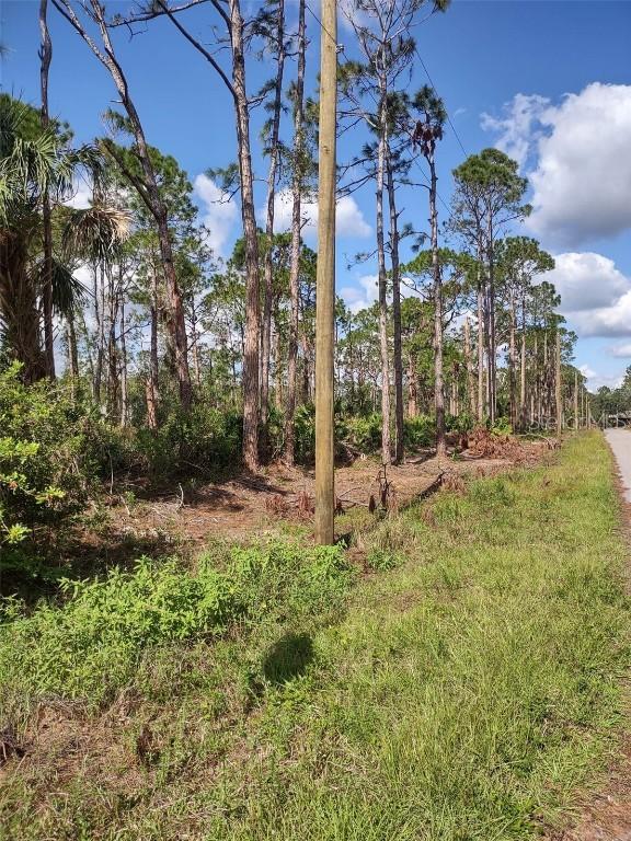 3212 Trinity St., North Port, FL 34291