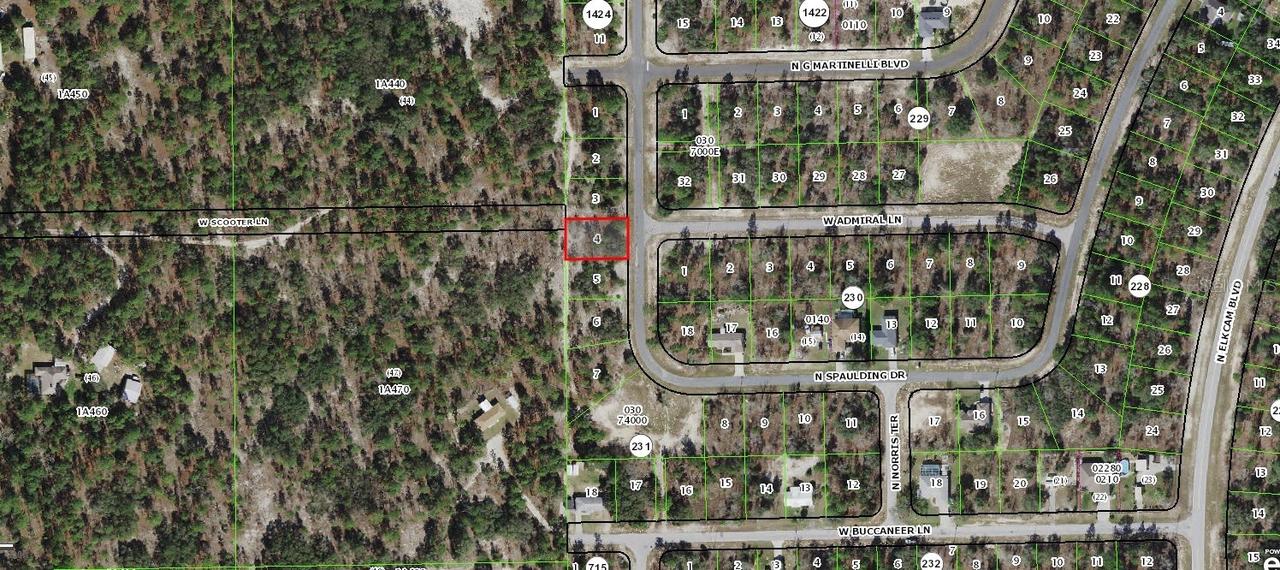 10340 N Spaulding Dr., Citrus Springs, FL 34433