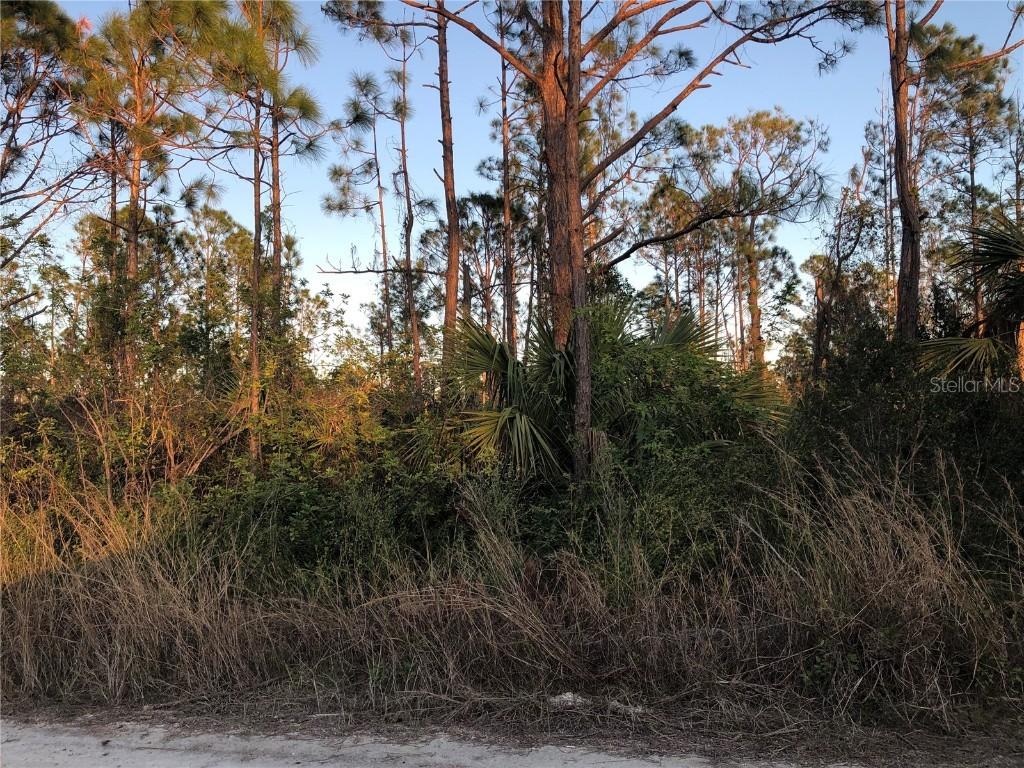 8190 Gewant Blvd., Punta Gorda, FL 33982