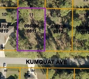 Lot 11 Kumquat Ave., North Port, FL 34291