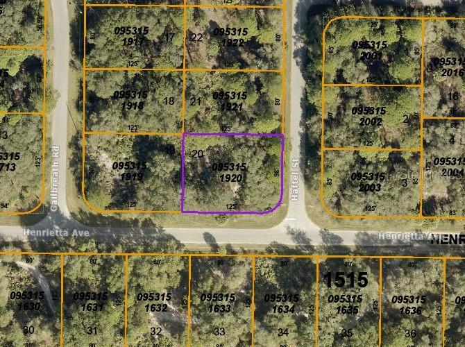 Lot 20 Haftel St., North Port, FL 34291