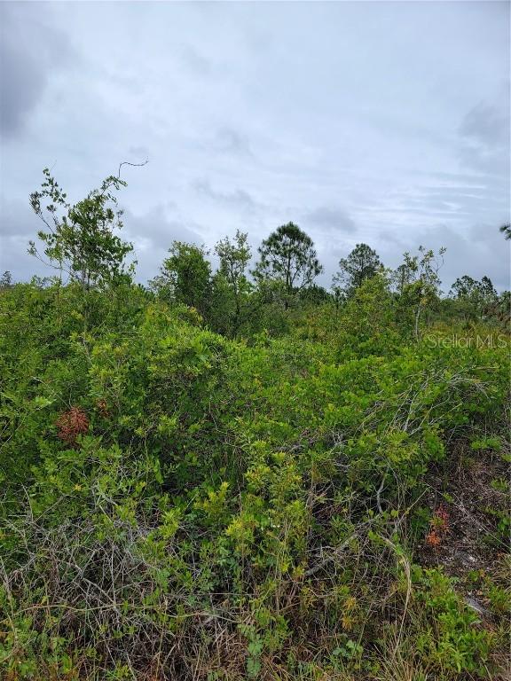 32162 Creek Trl. Tr., Punta Gorda, FL 33982