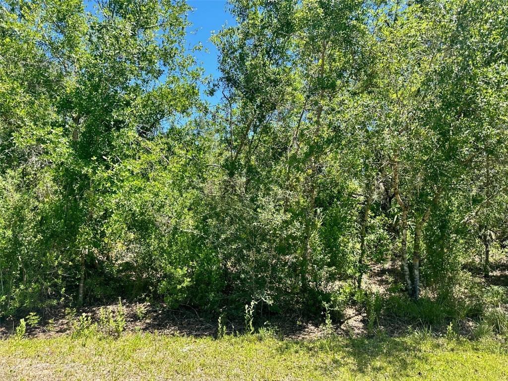 4816 SE Rye Ave., Arcadia, FL 34266