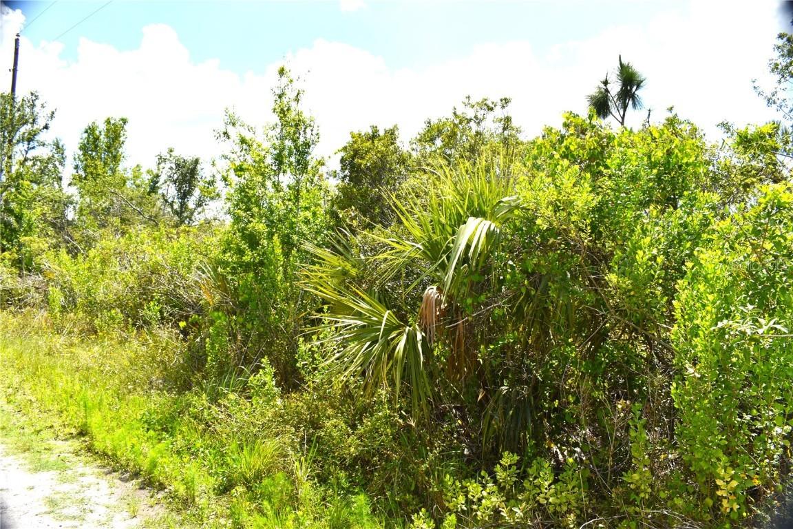 29045 Palm Shores, Punta Gorda, FL 33982