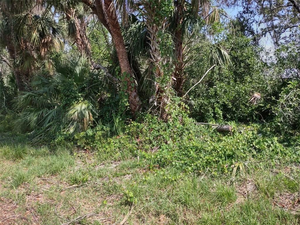 1116 Vernon Ave., Port Charlotte, FL 33948