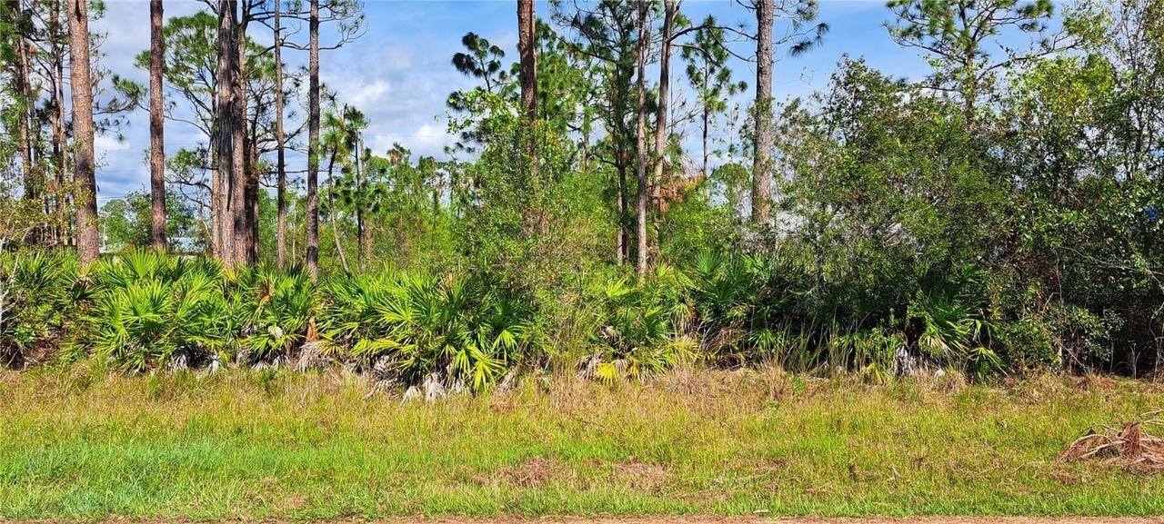 [Address Hidden by Seller], Port Charlotte, FL 33952