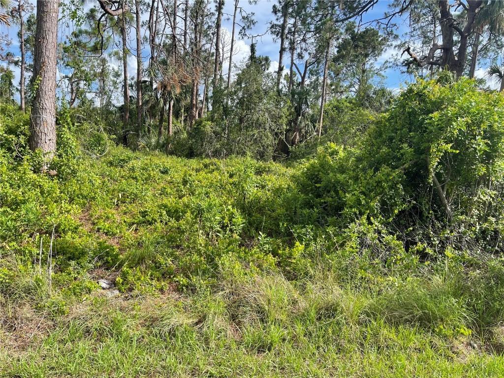 Hansard Ave., North Port, FL 34286