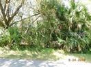 Xanthus Ave., North Port, FL 34286
