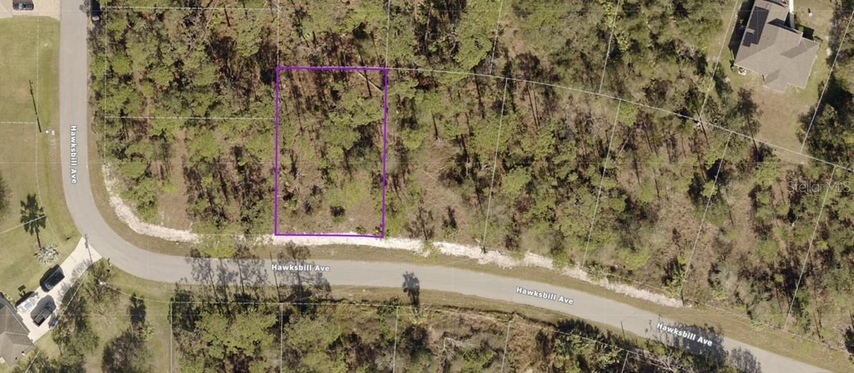 Lot 39 Hawksbill Ave., North Port, FL 34291