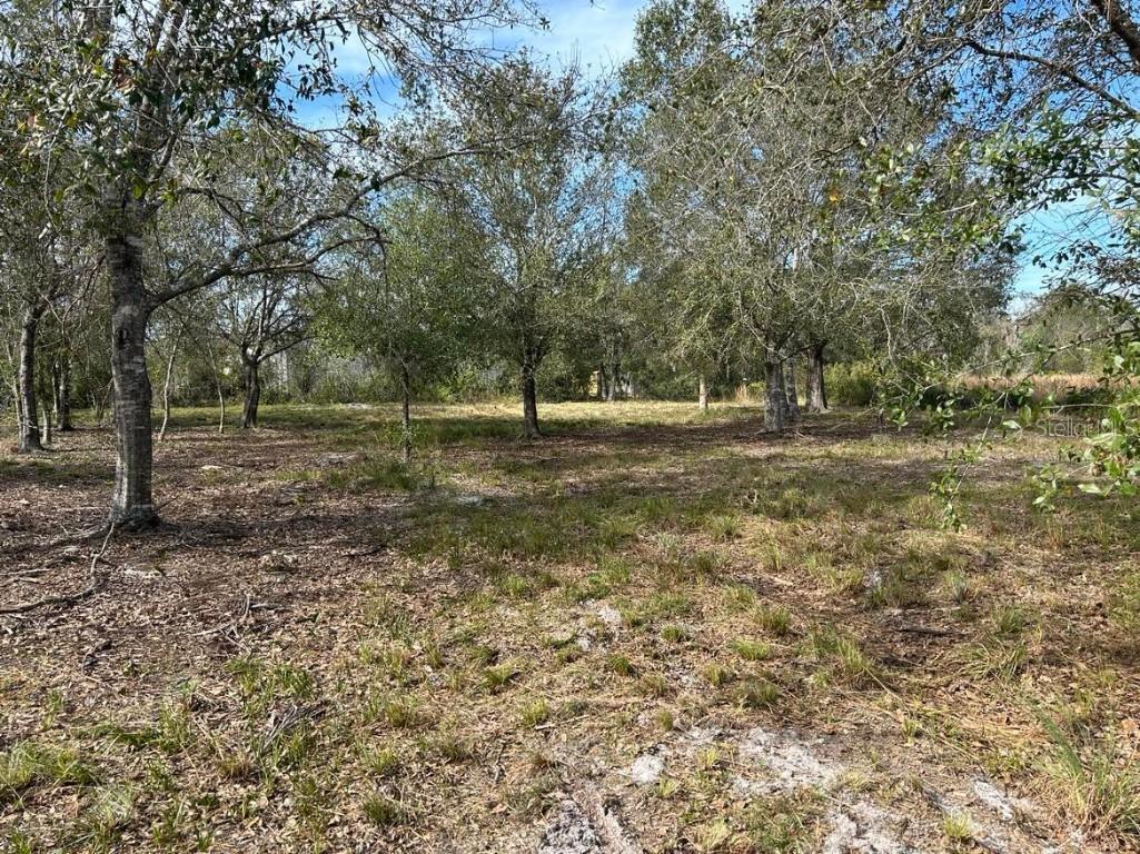 6203 Acorn Blvd., Punta Gorda, FL 33982