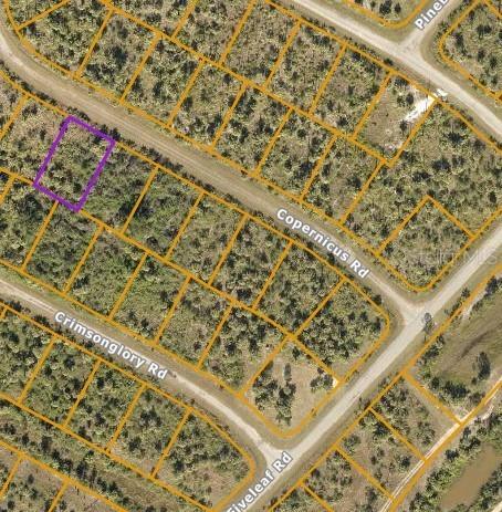 Lot 17 Copernicus Rd., North Port, FL 34288