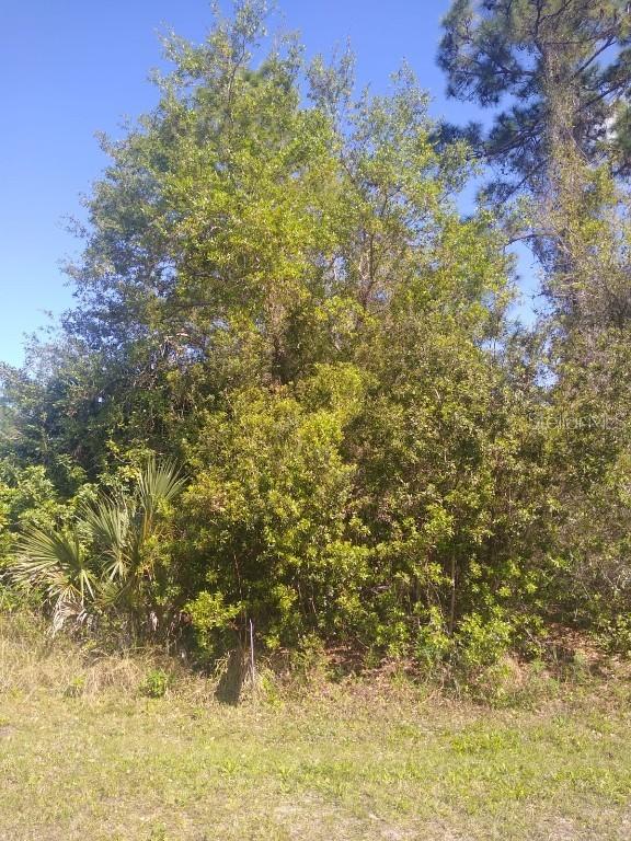 306 Mcdill Dr., Port Charlotte, FL 33953