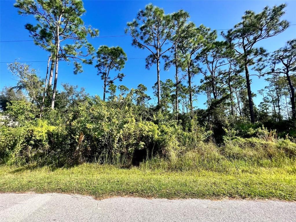 12338 Catalina Dr., Punta Gorda, FL 33955