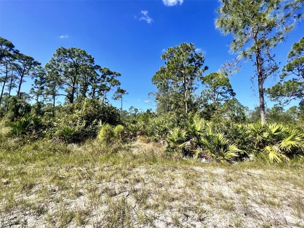 12247 Catridge Cir., Punta Gorda, FL 33955