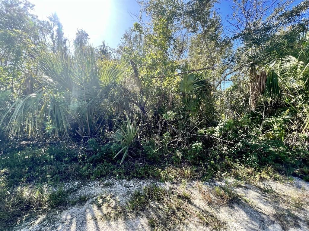 27275 Las Lomas Dr., Punta Gorda, FL 33955