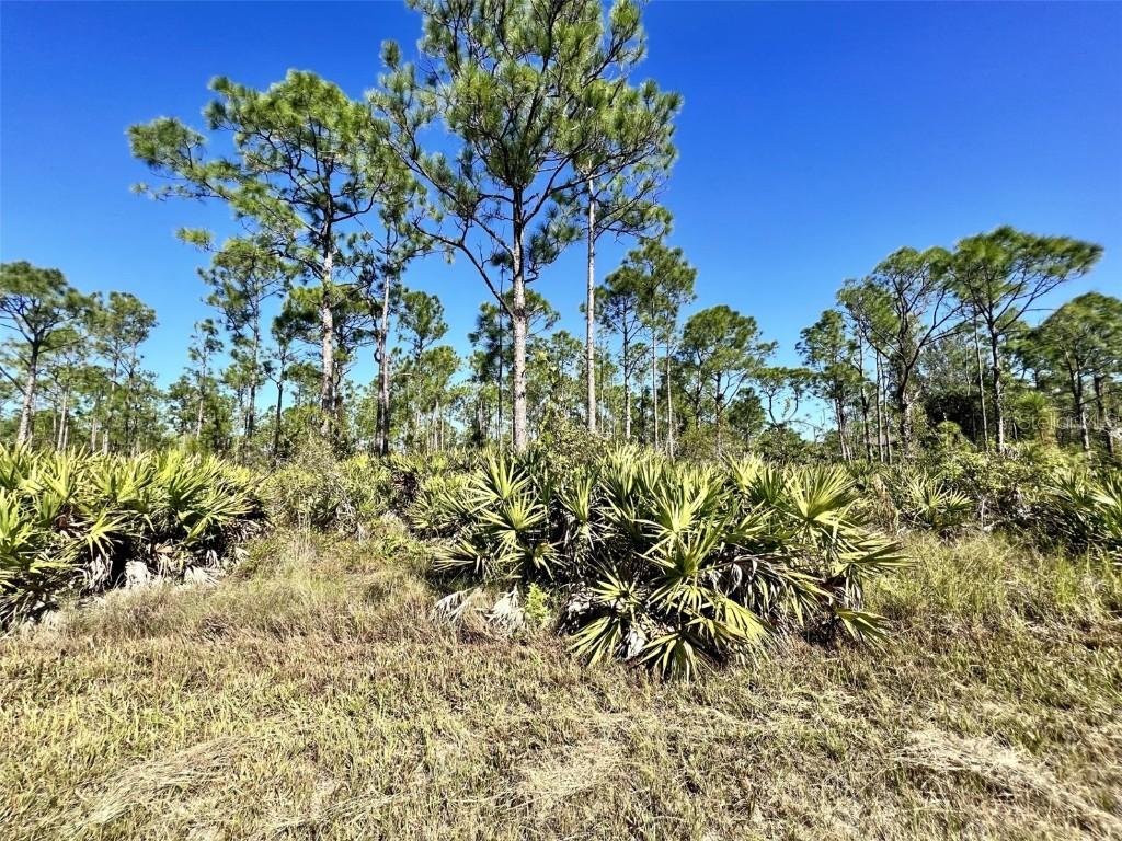 28060 Argyle Dr., Punta Gorda, FL 33955