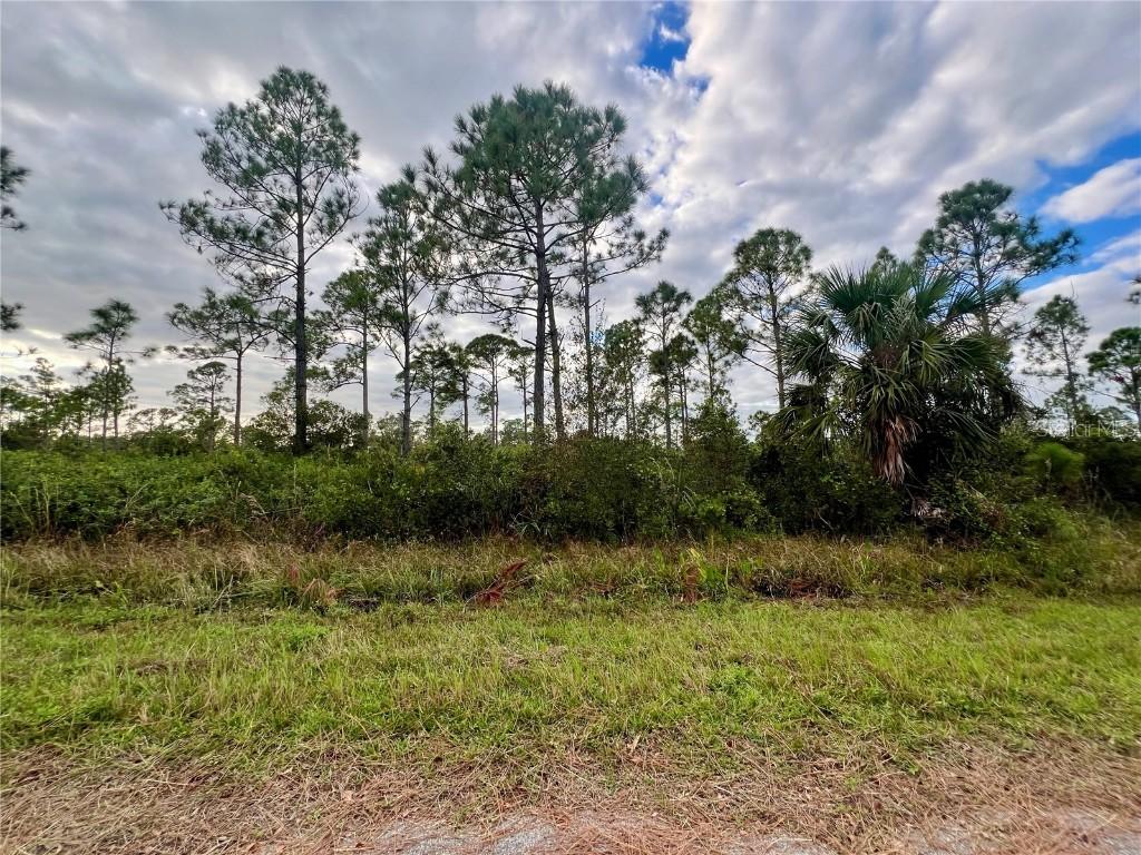 467 Hanscom St., Port Charlotte, FL 33953