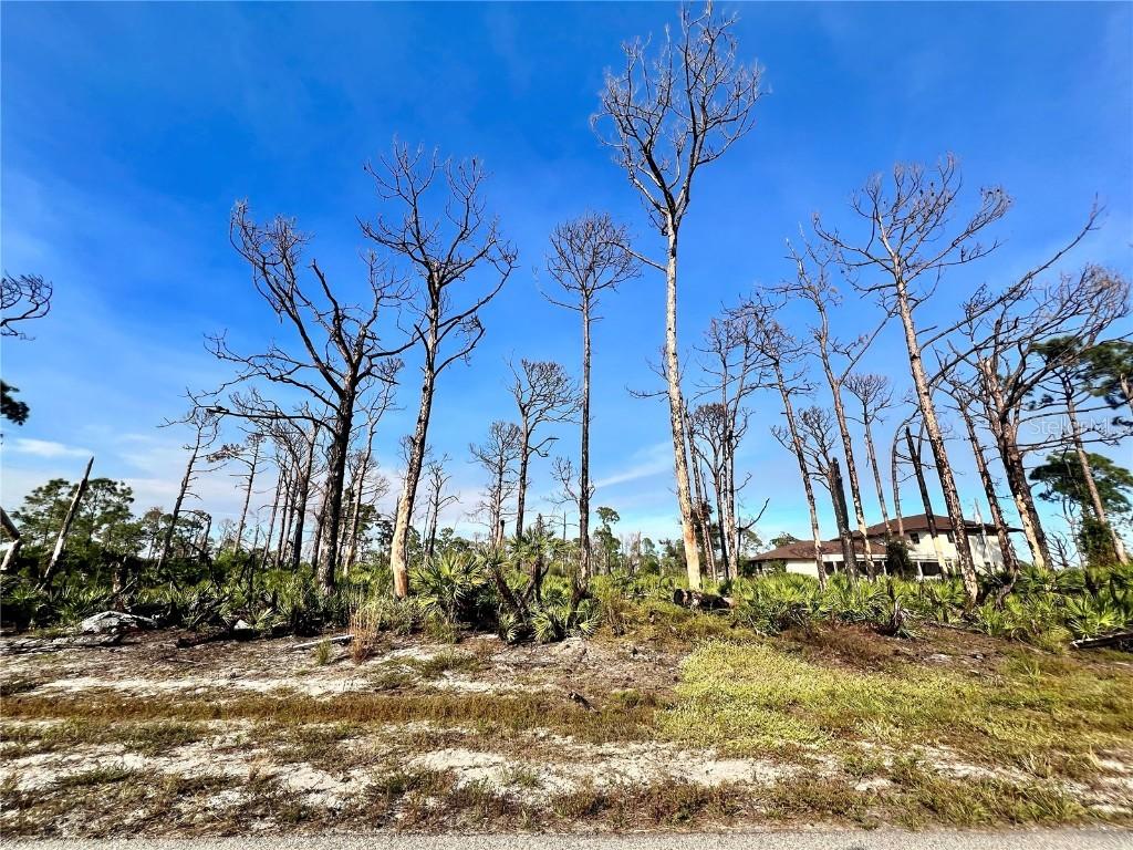 8 Adrift Ct., Placida, FL 33946