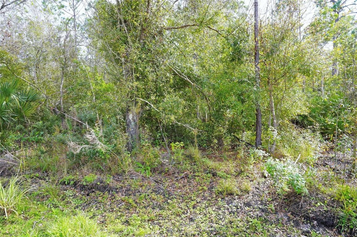23447 Corinne Ave., Punta Gorda, FL 33980