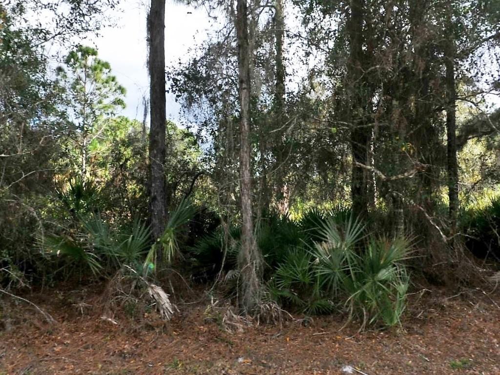 Cascabel Lot #6 Ter., North Port, FL 34286