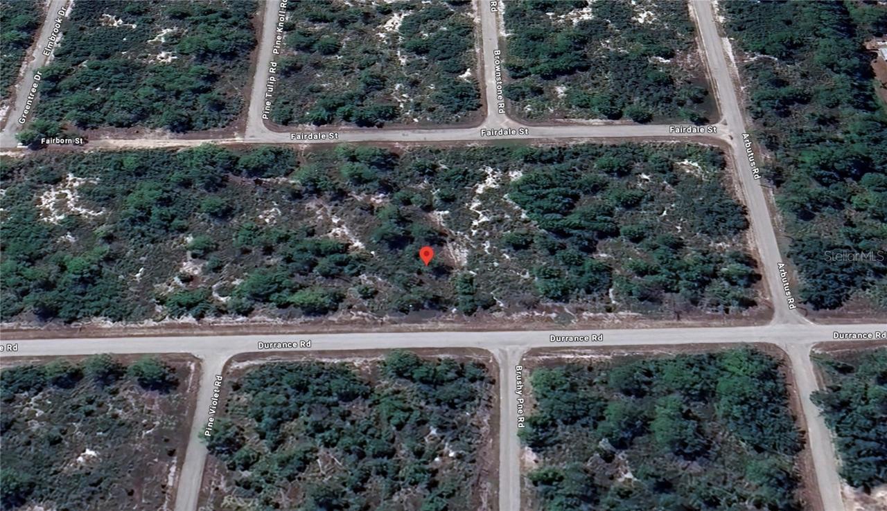 929 Durrance Rd., Lake Placid, FL 33852