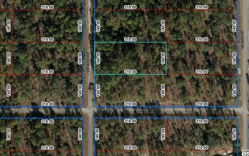 TBD SE 128th Ave., Dunnellon, FL 34431