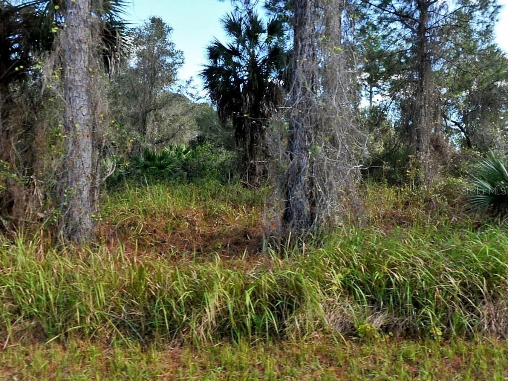 Namiot Cir Lot 5 Cir., North Port, FL 34288