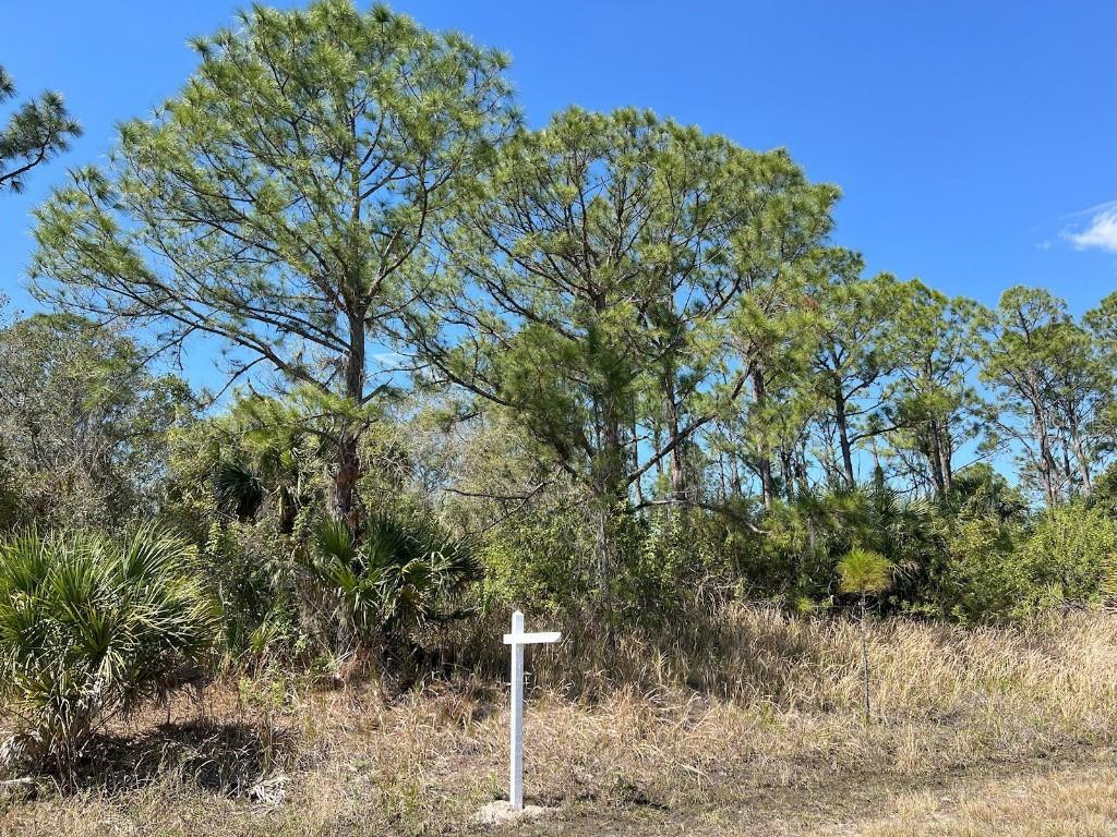 Lot 6 Hamerton Rd., North Port, FL 34288