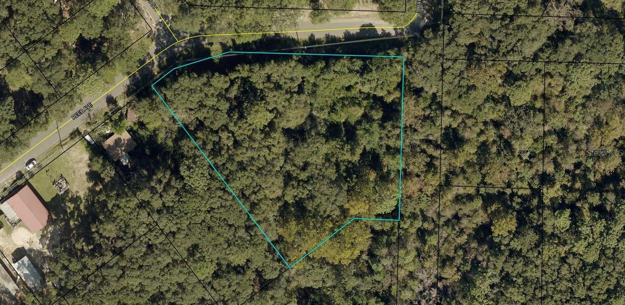 Reed Ave., Crestview, FL 32539
