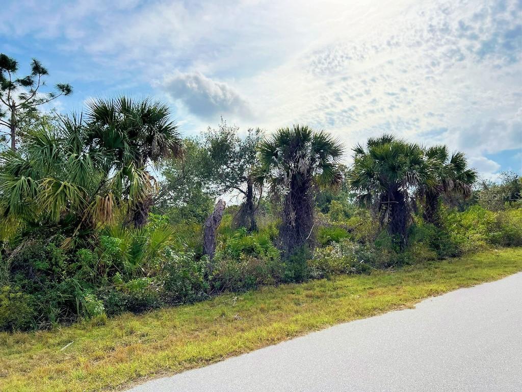 14195 Guadalcanal Ave., Port Charlotte, FL 33953