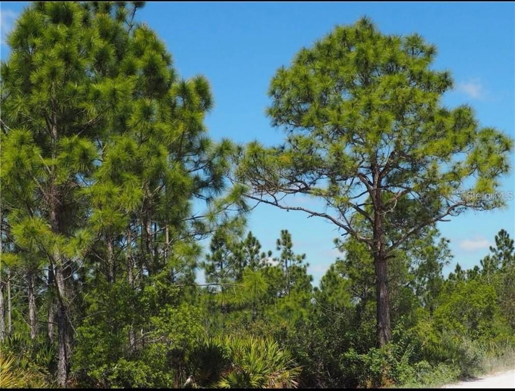 8329 Gewant Blvd., Punta Gorda, FL 33982
