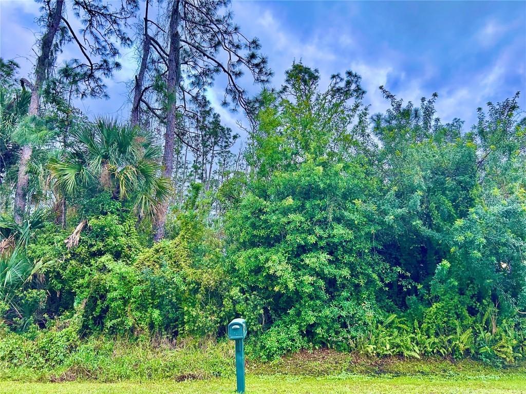 Madagascar Ave., North Port, FL 34286