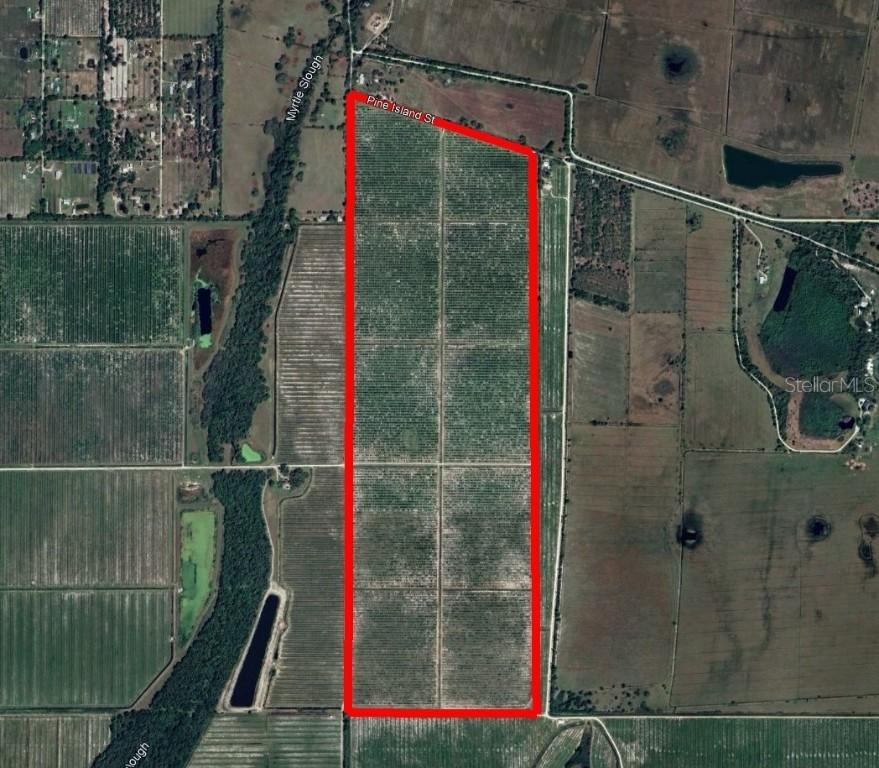7019 SE Prairie Creek Rd., Arcadia, FL 34266