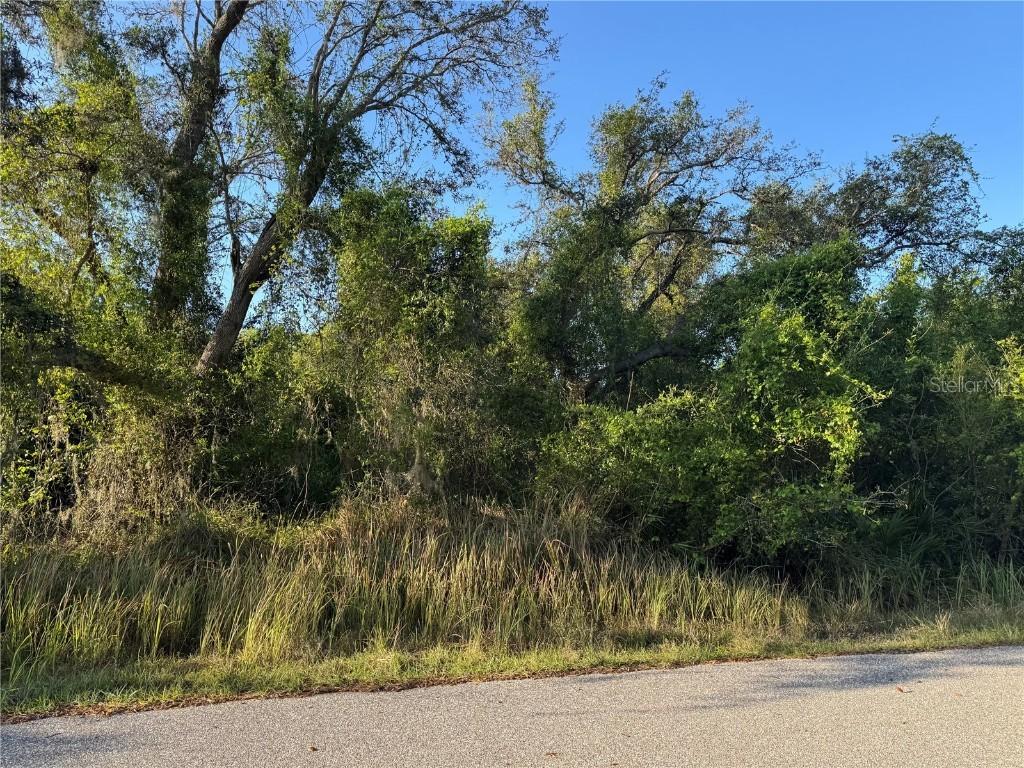 1799 NE Voss Oaks Cir., Arcadia, FL 34266