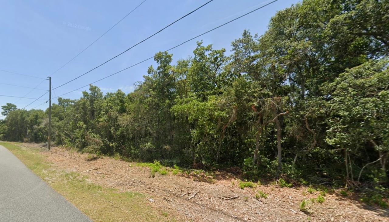 Olive Dr., Ocala, FL 34472
