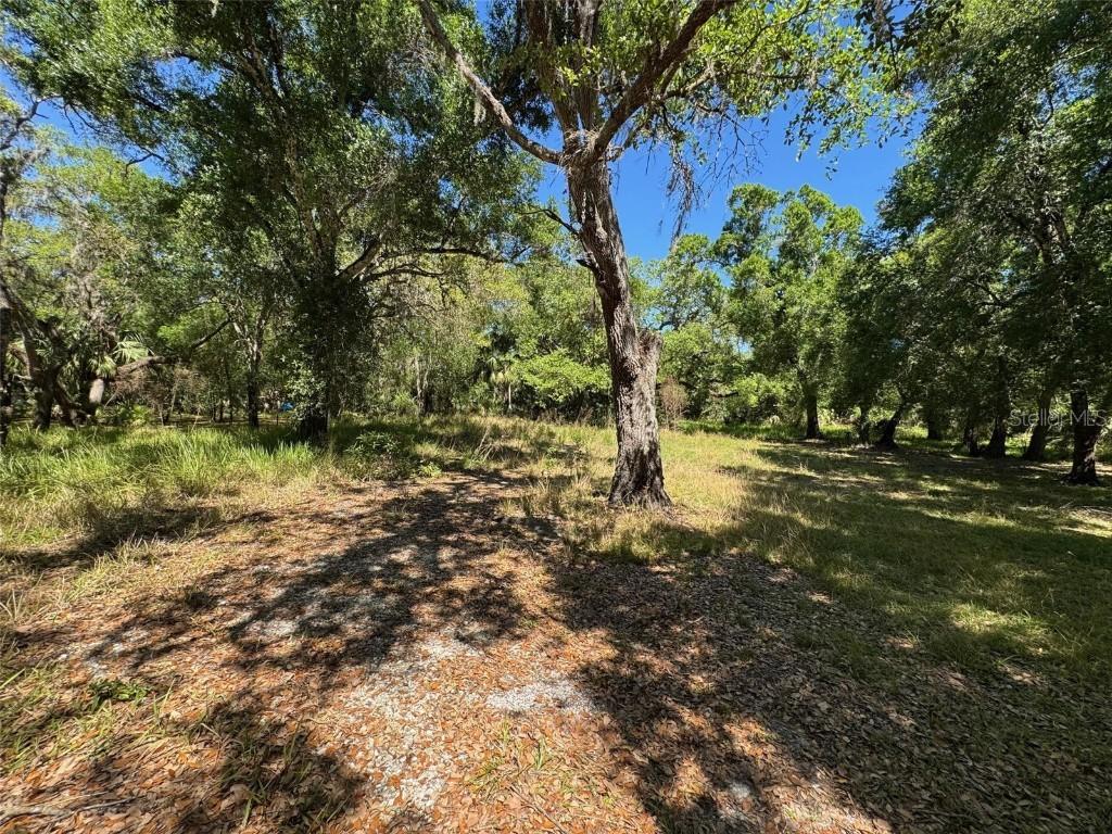 1284 NE River Mill Dr., Arcadia, FL 34266
