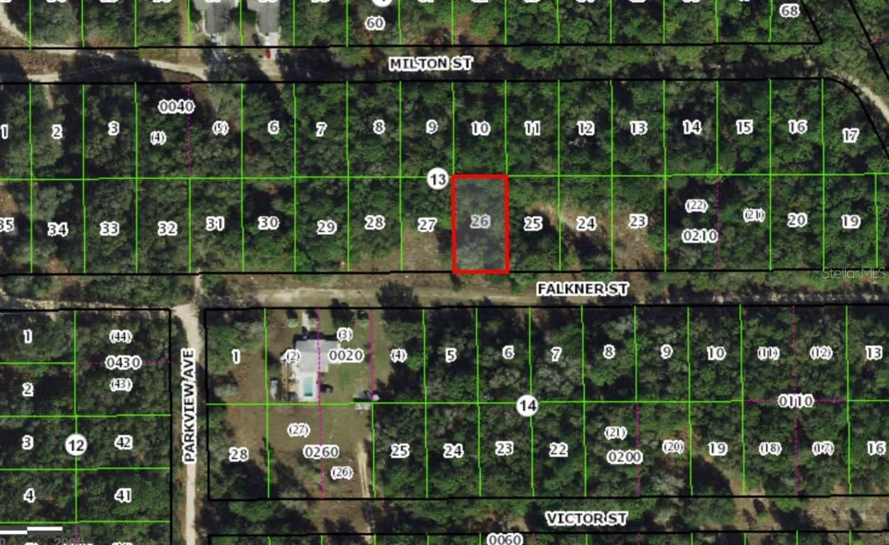 2006 Falkner St., Inverness, FL 34453