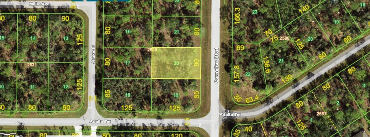 1355 Cornelius Blvd., Port Charlotte, FL 33953