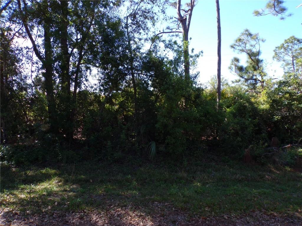 26251 Hapsburg Rd., Punta Gorda, FL 33955