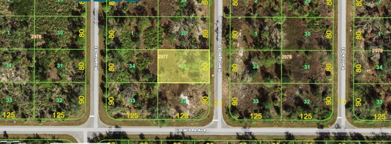 2389 Remagen St., Port Charlotte, FL 33953