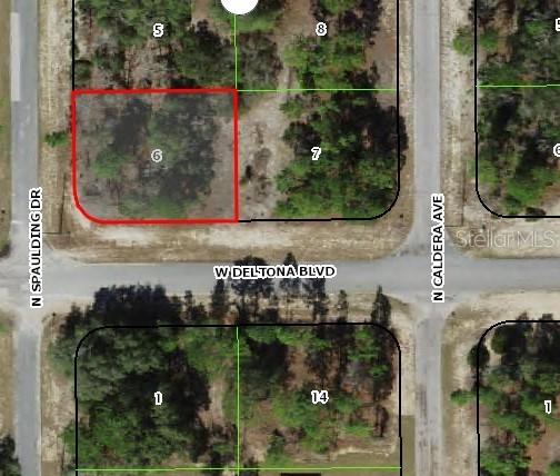 10515 N Spaulding Dr., Citrus Springs, FL 34433