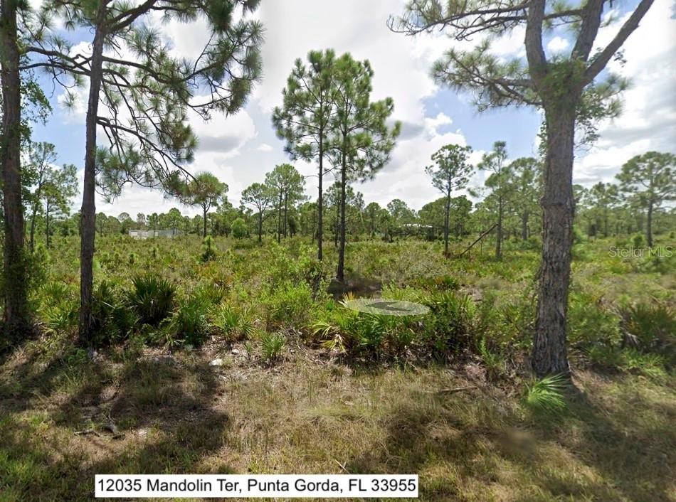 12035 Mandolin Ter., Punta Gorda, FL 33955