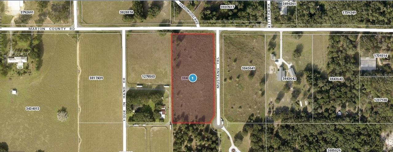 Mustang Tr., Weirsdale, FL 32195