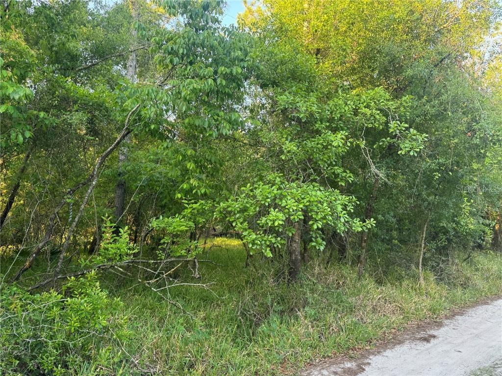 1297 NE River Raft Dr., Arcadia, FL 34266