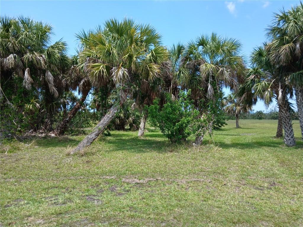 16091 Chitlan Ct., Punta Gorda, FL 33955