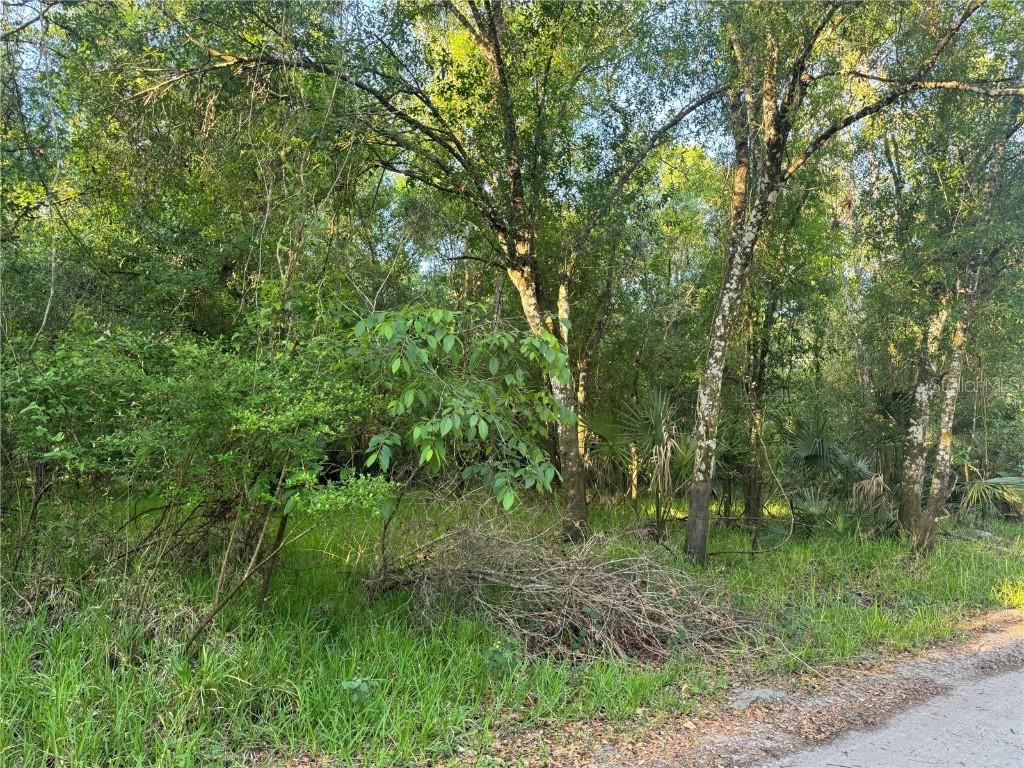NE River Mill Dr., Arcadia, FL 34266