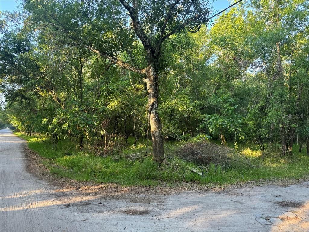 NE River Ridge Ave., Arcadia, FL 34266