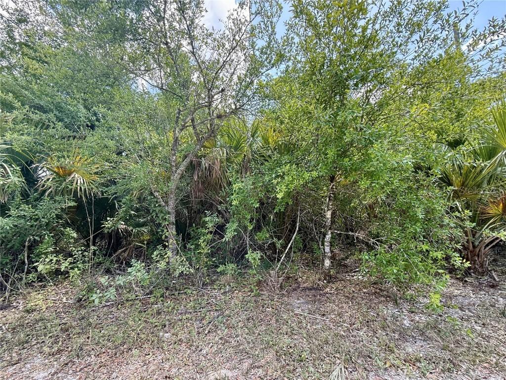 27263 Las Lomas Dr., Punta Gorda, FL 33955