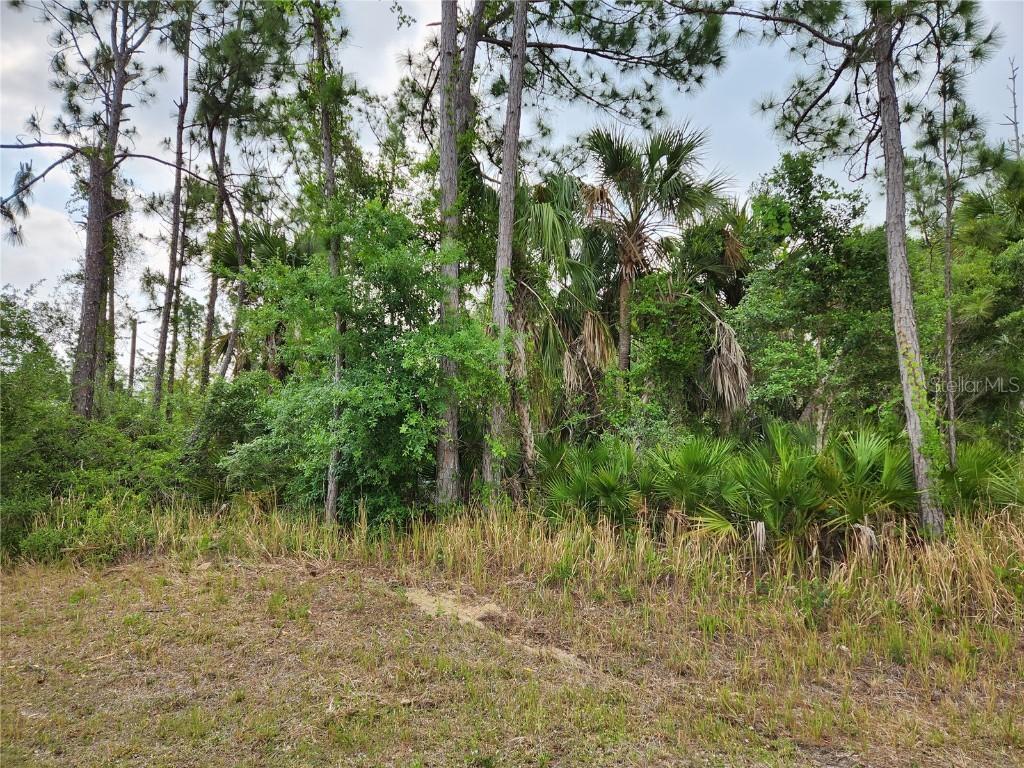 Chickasaw Ave., North Port, FL 34288
