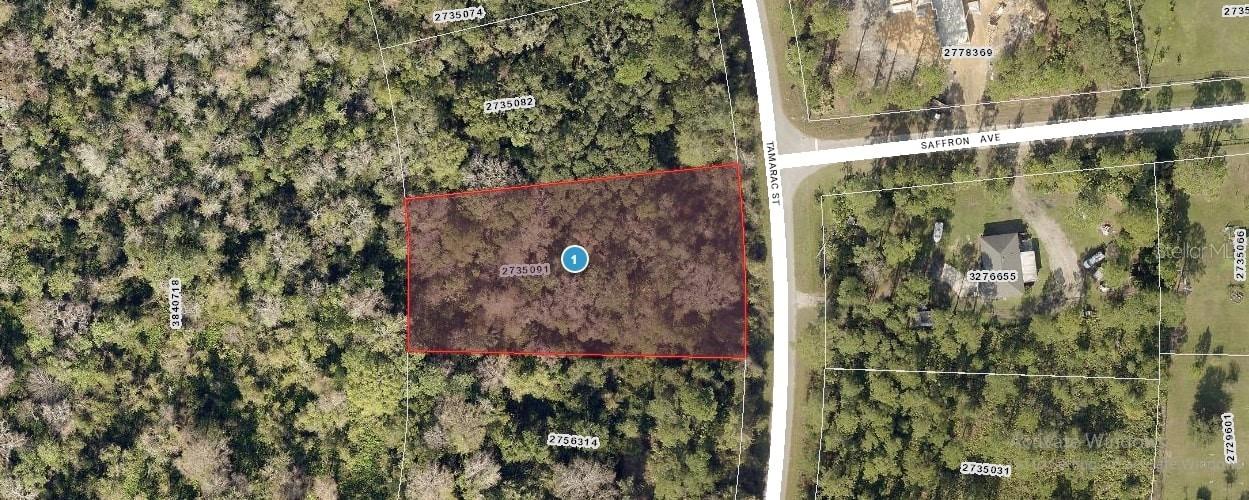 Tamarac St., Eustis, FL 32736